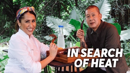 In Search of Heat on Channel News Asia International