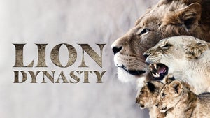 Lion Dynasty on Nat Geo Wild HD - future program