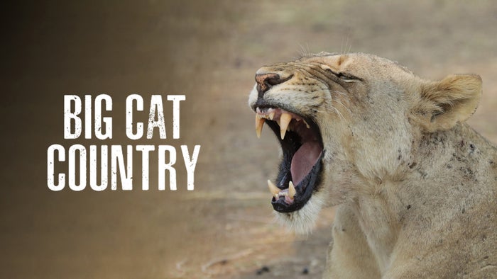 Big Cat Country Episode No.1 on JioTV