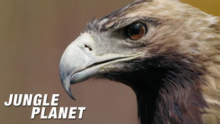Jungle Planet on Animal Planet HD World