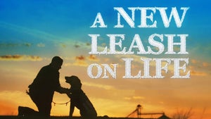 A New Leash On Life Episode 1 on ABC Australia - future program