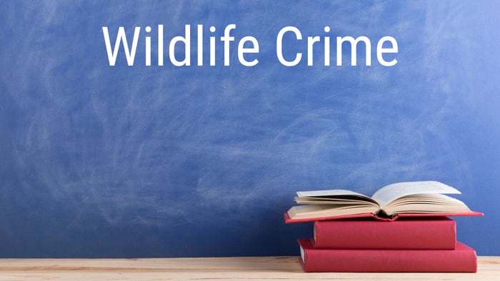 Wildlife Crime on JioTV