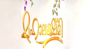 Mahalakshmi Episode 460 on Flower TV - past program