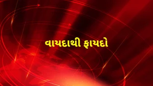 Vayda Thi Faydo on CNBC Bajar - past program