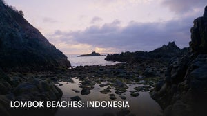 Lombok Beaches: Indonesia on Stingray Naturescape - past program