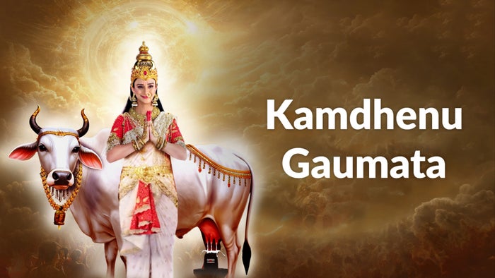Kamdhenu Gaumata Episode No.17 on JioTV