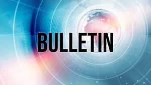 Bulletin on IPN News - past program