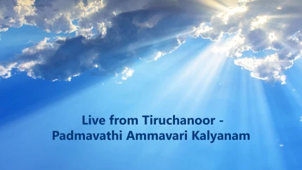 Live from Tiruchanoor - Padmavathi Ammavari Kalyanam on SVBC4