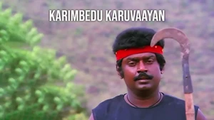 Karimbedu Karuvaayan on Raj TV - past program