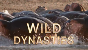 Wild Dynasties on Animal Planet English - past program