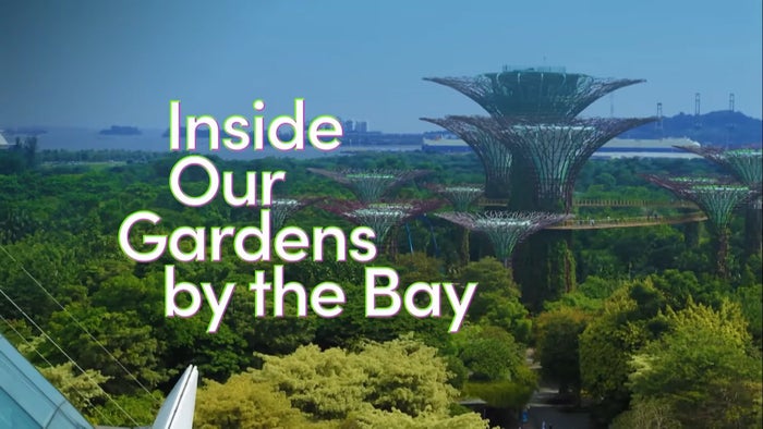 Inside Our Gardens By the Bay on JioTV