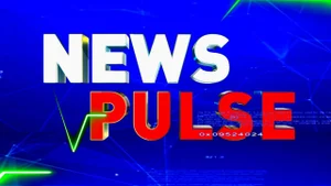 News Pulse on Times NOW