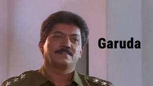 Garuda on Colors Kannada Cinema - past program