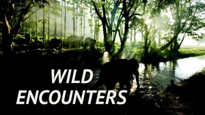 Wild Encounters on Epic - past program