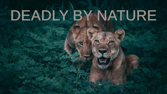 Deadly By Nature Episode No.1 on JioTV