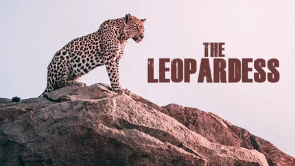 The Leopardess on Animal Planet English