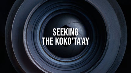 Seeking the koko'ta'ay on Taiwan Plus - past program