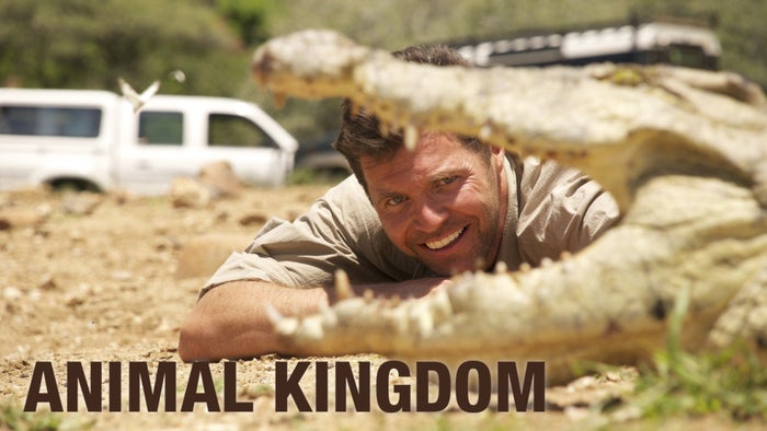 Animal Kingdom on JioTV