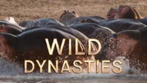 Wild Dynasties on Animal Planet Hindi