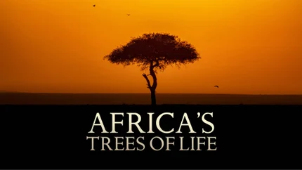 Africa's Trees of Life on Animal Planet HD World