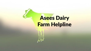 Asees Dairy Farm Helpline on PTC News - past program