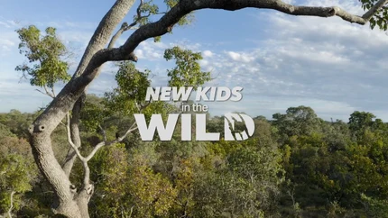New Kids In The Wild on Animal Planet English