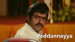 Peddannayya on Sun Gemini Movies HD - live program