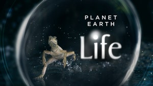 Life on Sony BBC Earth SD - past program