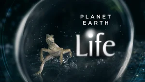 Life on Sony BBC Earth SD - past program