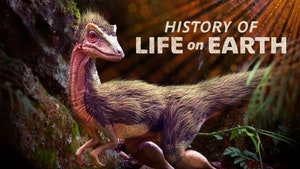 History Of Life On Earth on Animal Planet Hindi - past program