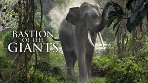 Bastion Of The Giants on Animal Planet Hindi