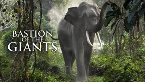 Bastion Of The Giants on Animal Planet Hindi