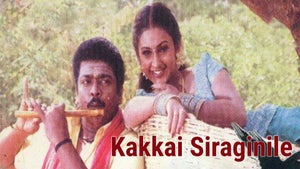 Kakkai Siraginile on KTV HD - future program