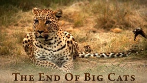 The End of the Big Cats Episode 1 on INWILD - past program