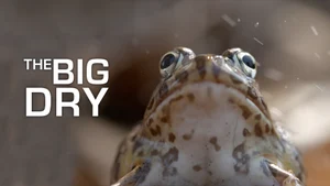 The Big Dry on Animal Planet Hindi - live program