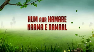 Channel Win on Channel Win - past program