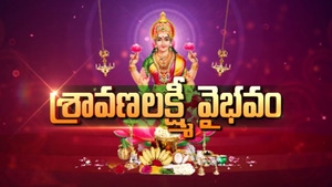 Sravana Laxmi Vaibavam on ETV Life - past program