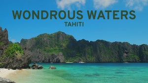 Wondrous Waters: Tahiti on Stingray Naturescape - past program