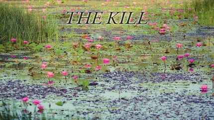 The Kill on Animal Planet English