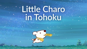 Little Charo in Tohoku on NHK World Japan - past program