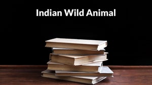 Indian Wild Animal on Gujarat  Wild TV - past program