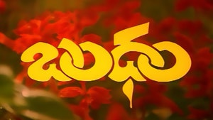 Bandham on ETV Plus HD - past program