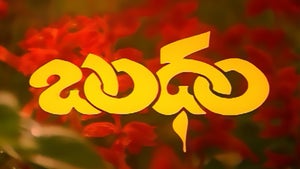 Bandham on ETV Plus HD - past program