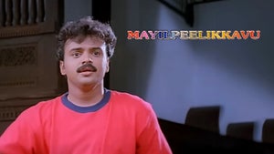 Mayilpeelikkavu on Sun Surya Movies - live program