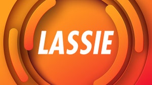 Lassie on Unique Tv