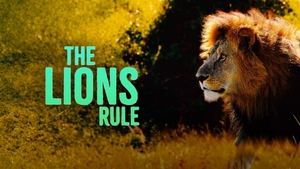 The Lions Rule on Animal Planet HD Hindi - past program