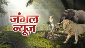 Jungle News on News Nation - past program