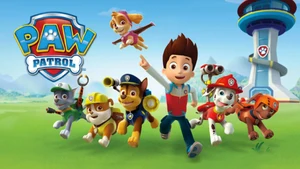 PAW Patrol on Colors Rishtey - past program
