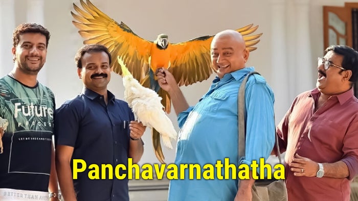 Panchavarnathatha on JioTV