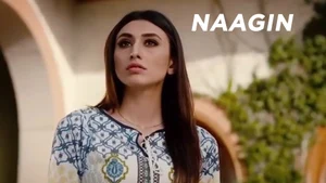 Naagin on Colors Bengali HD - past program